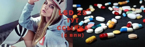 амф Гусь-Хрустальный
