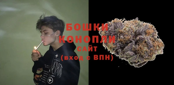 ГАЛЛЮЦИНОГЕННЫЕ ГРИБЫ Гусиноозёрск