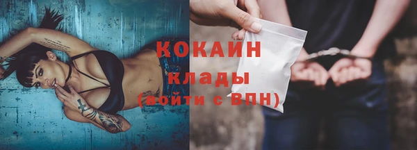 амф Гусь-Хрустальный