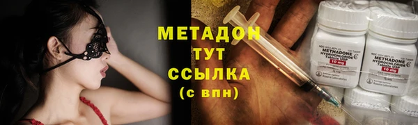амф Гусь-Хрустальный