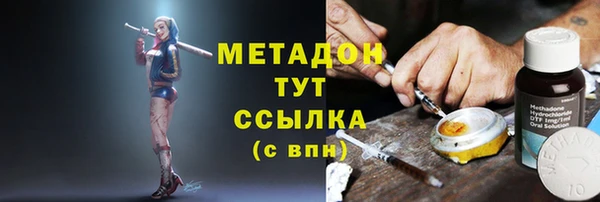 амф Гусь-Хрустальный
