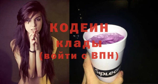 2c-b Гусев