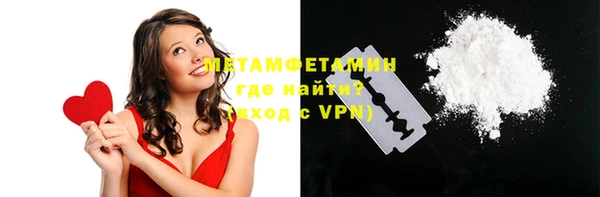 крисы Мегион