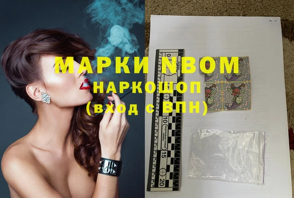 амф Гусь-Хрустальный
