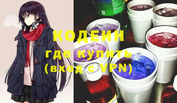 2c-b Гусев