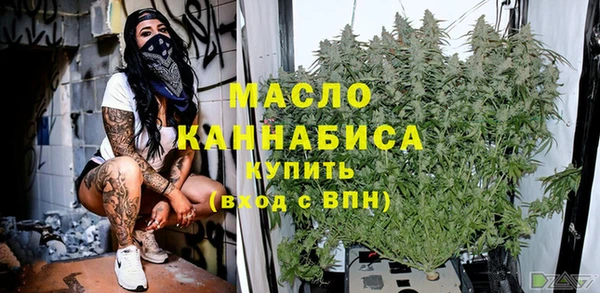 амф Гусь-Хрустальный
