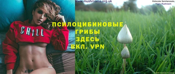 ГАЛЛЮЦИНОГЕННЫЕ ГРИБЫ Гусиноозёрск