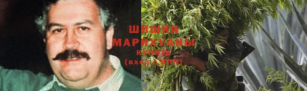 2c-b Гусев