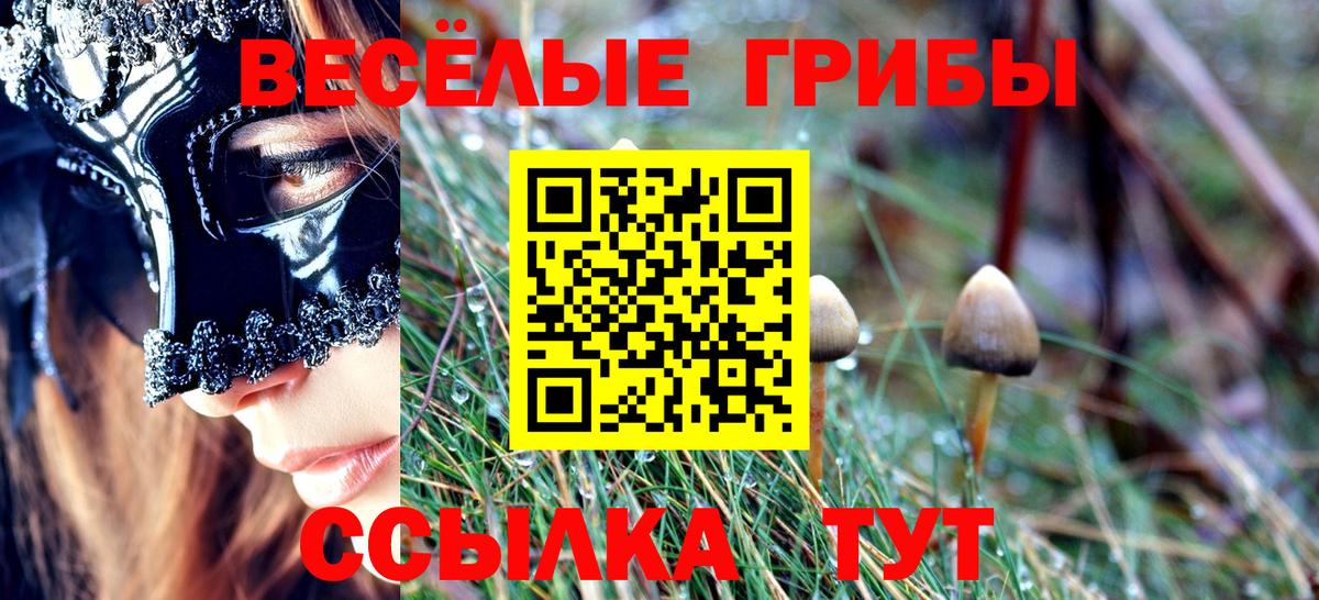 Галлюциногенные грибы ЛСД Зеленогорск
