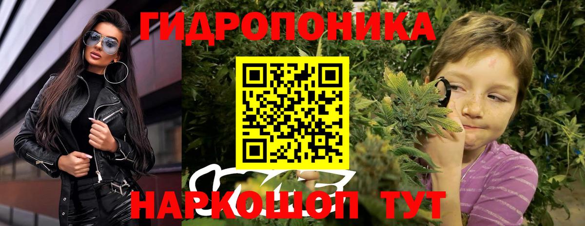 Шишки марихуана конопля  Бошки марихуана сатива  Зеленогорск  Вход с VPN 